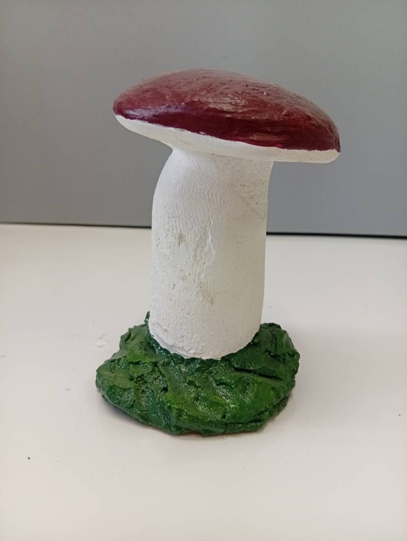 Baravika vientulīgā