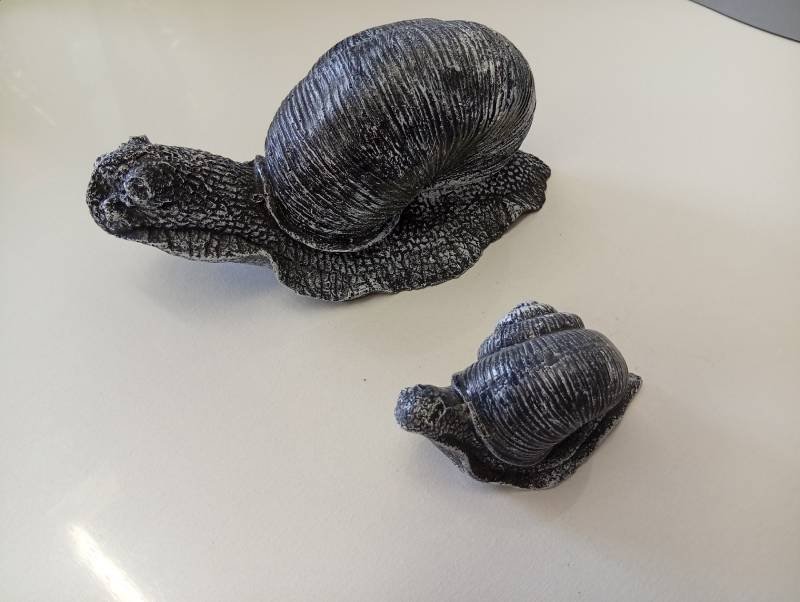 Gliemežu ģimenīte pastaigā - Image 2