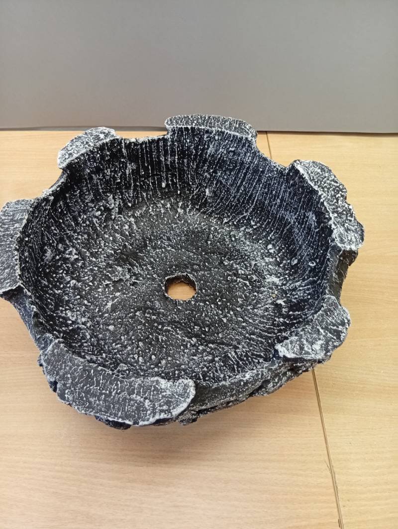 Puķu pods Dārza Saulīte visas sezonas garumā - Image 2