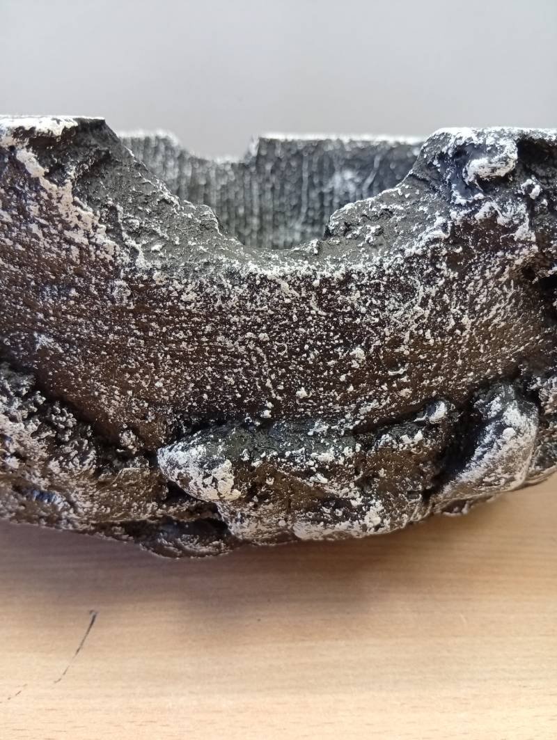 Puķu pods Dārza Saulīte visas sezonas garumā - Image 4