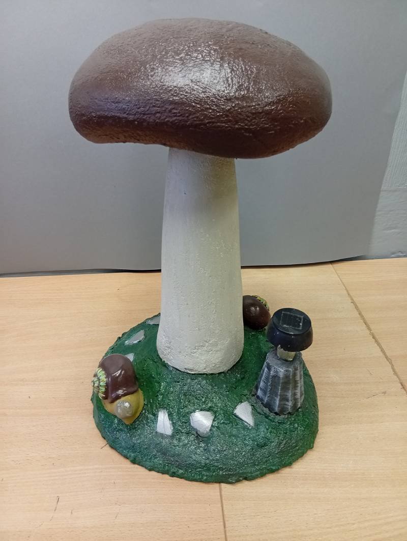 Sēnīte ar gliemezīšiem - Image 4