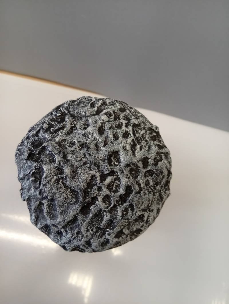 Mājiņa sēnē - Image 3