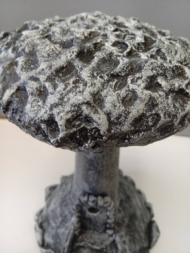 Mājiņa sēnē - Image 2