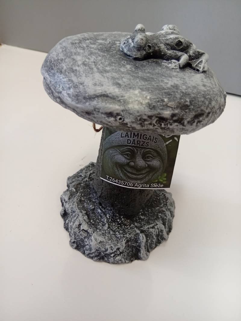 Vardītes diendusa - Image 3